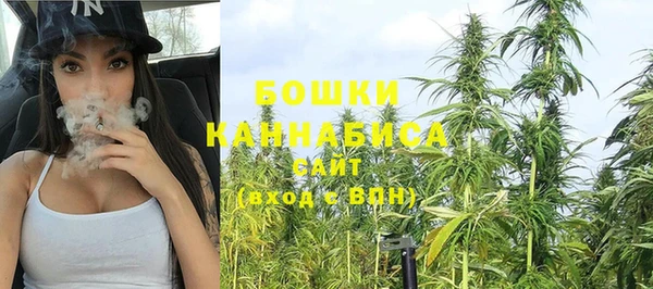 молекула духа Богородск
