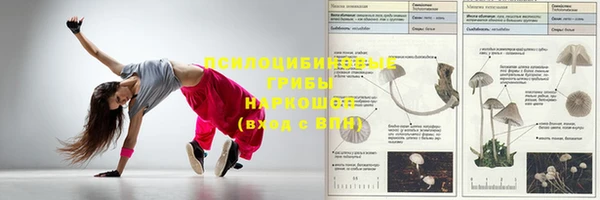 молекула духа Богородск