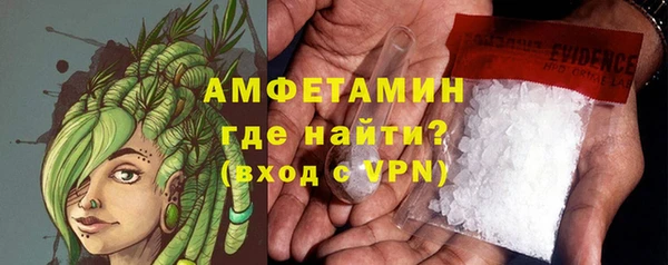 молекула духа Богородск