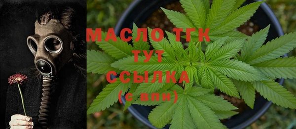 соль ск Богданович