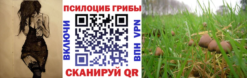 Галлюциногенные грибы ЛСД  хочу наркоту  Пойковский 